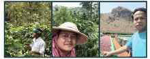 Load image into Gallery viewer, Myanmar Indigo Mountain
