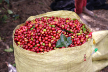 Load image into Gallery viewer, Papua New Guinea