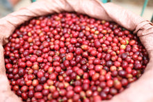 Load image into Gallery viewer, Ethiopia Yirgacheffe