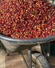 Load image into Gallery viewer, Costa Rica Finca Cafe Con Amor