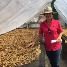 Load image into Gallery viewer, Costa Rica Zalmari Estate Honey Process