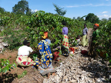 Load image into Gallery viewer, Burundi Rama Womens