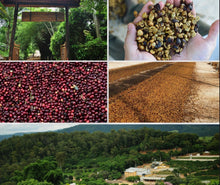 Load image into Gallery viewer, Brazil Fazenda Das Almas