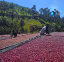 Load image into Gallery viewer, Ethiopia Bura Hamasho Mill
