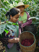 Load image into Gallery viewer, Myanmar Indigo Mountain