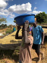 Load image into Gallery viewer, Tanzania Peaberry