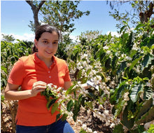 Load image into Gallery viewer, Costa Rica Cloza Estate Pacamara