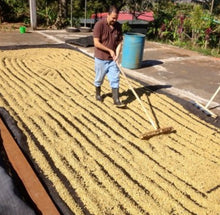 Load image into Gallery viewer, Costa Rica San Roque