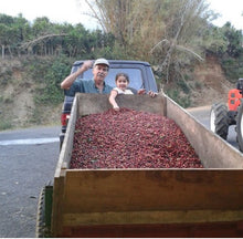 Load image into Gallery viewer, Costa Rica San Roque